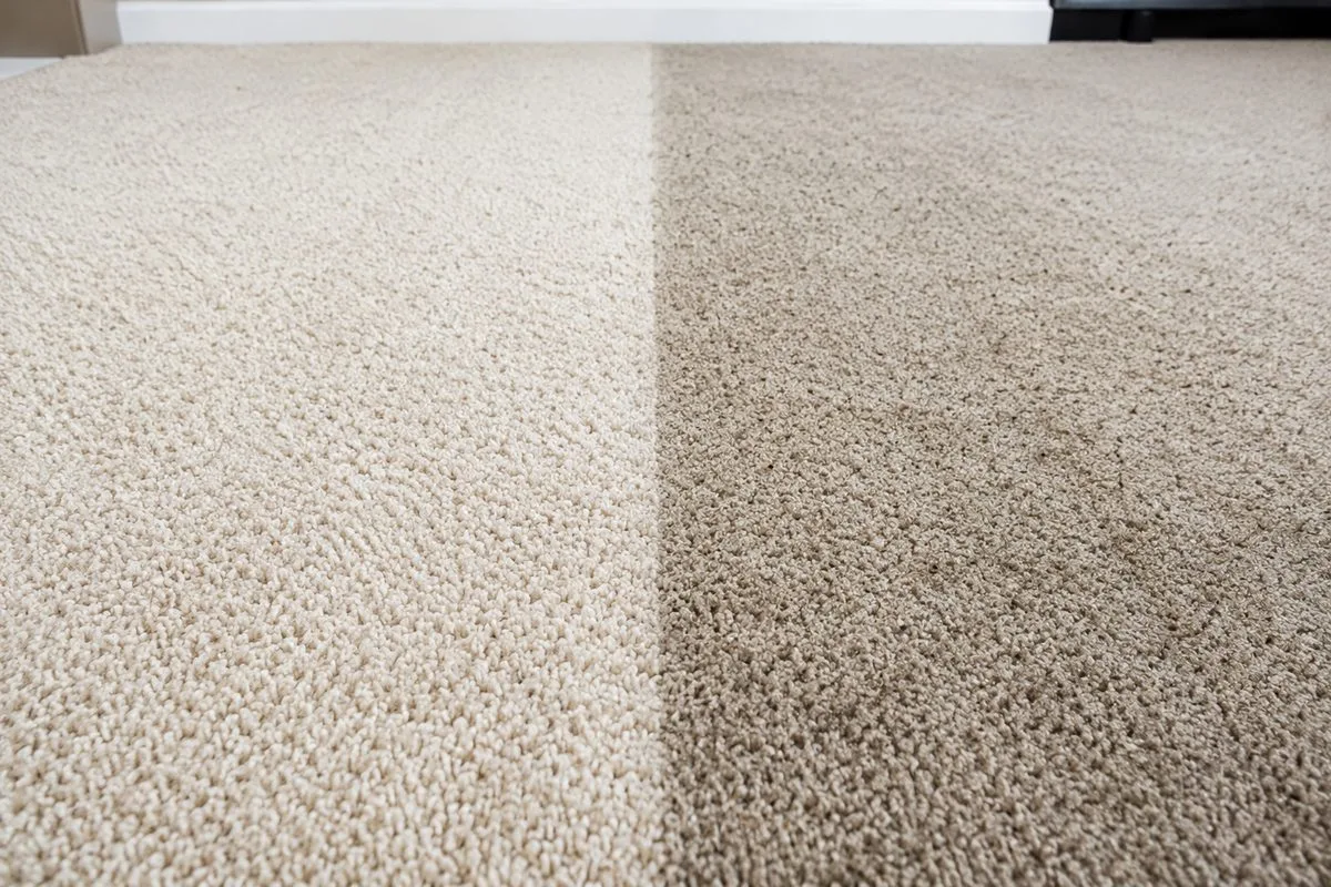 Steam Cleaning vs Dry Carpet Cleaning: Which Is Right for Your Wichita Home?