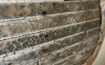 306934244_5067527136685774_4968253592761968069_n