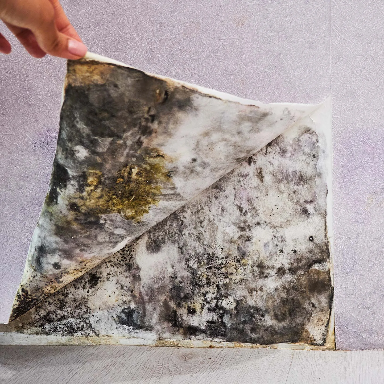 Water Damage Restoration: First 24 Hours Guide