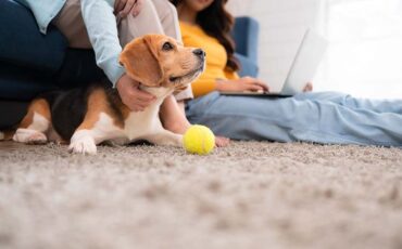 Family vacation, mother, daughter, and beagle puppy relaxing on weekends in the house's leisure room