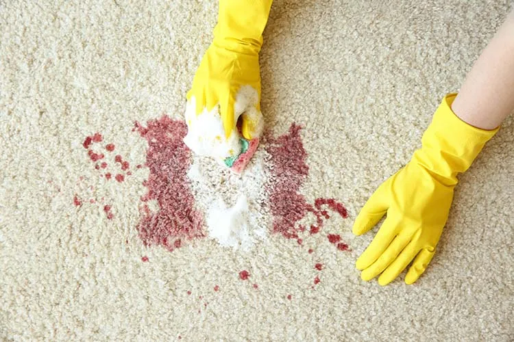 Emergency Carpet Cleaning Services | Good to be Clean