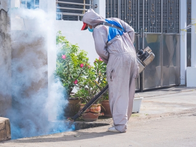 Smoke Damage Repair