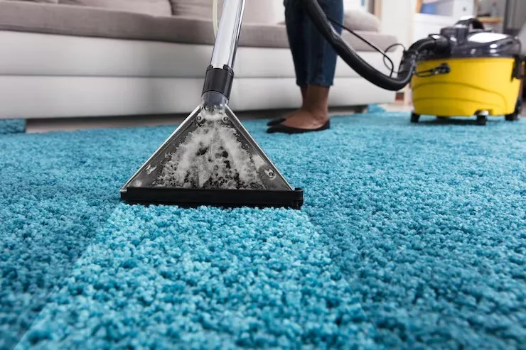Professional Carpet Cleaning Services for a Healthier Home