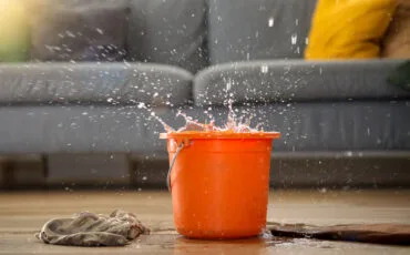 water-dripping-from-ceiling-into-bucket-on-floor-i-2026-01-09-00-50-23-utc